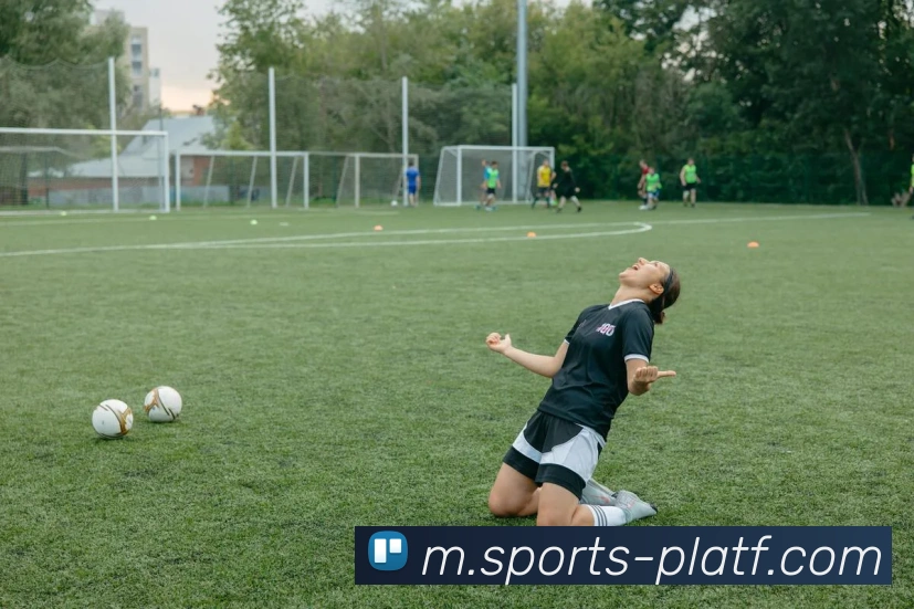 体育下注平台生态图